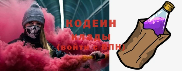 тгк Бородино