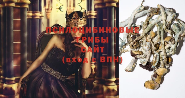 спиды Бронницы
