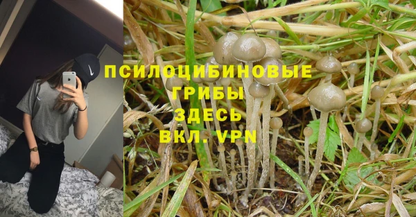 спиды Бронницы