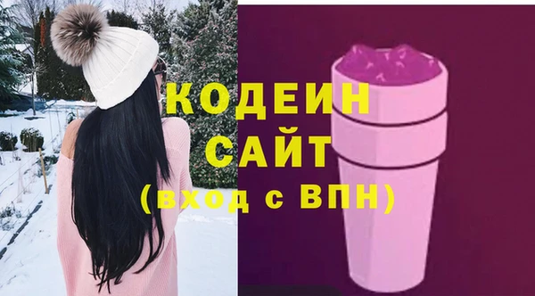 тгк Бородино