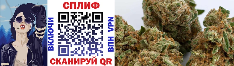 Шишки марихуана OG Kush  наркота  Дигора 
